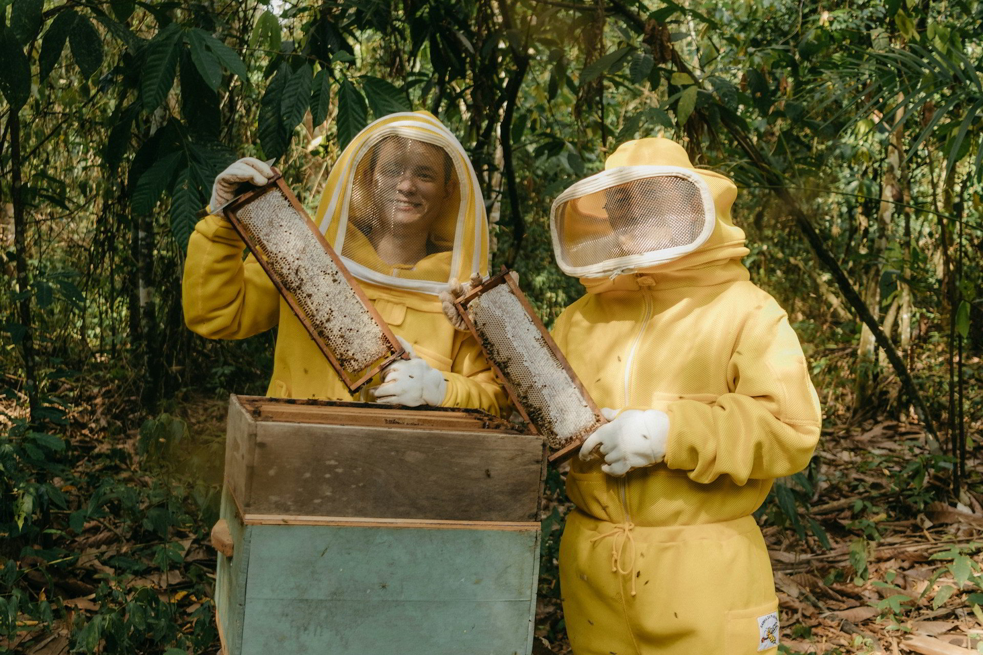 beekeepers worldwide with beelandia